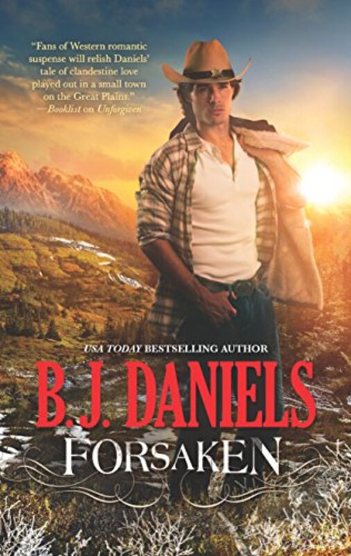 Beartooth Montana book cover