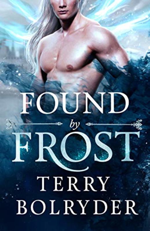 Book cover for "Found by Frost" by Terry Bolryder