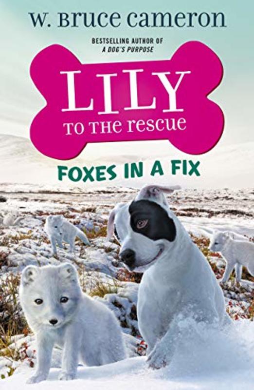 Book cover for "Foxes in a Fix" by W Bruce Cameron