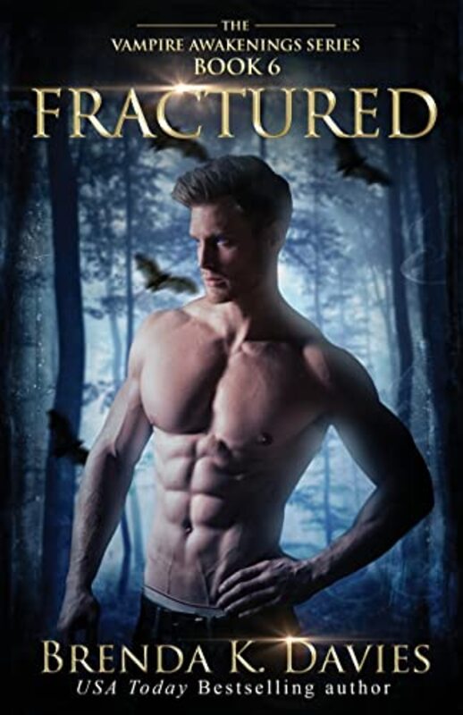Book cover for "Fractured" by Brenda K Davies