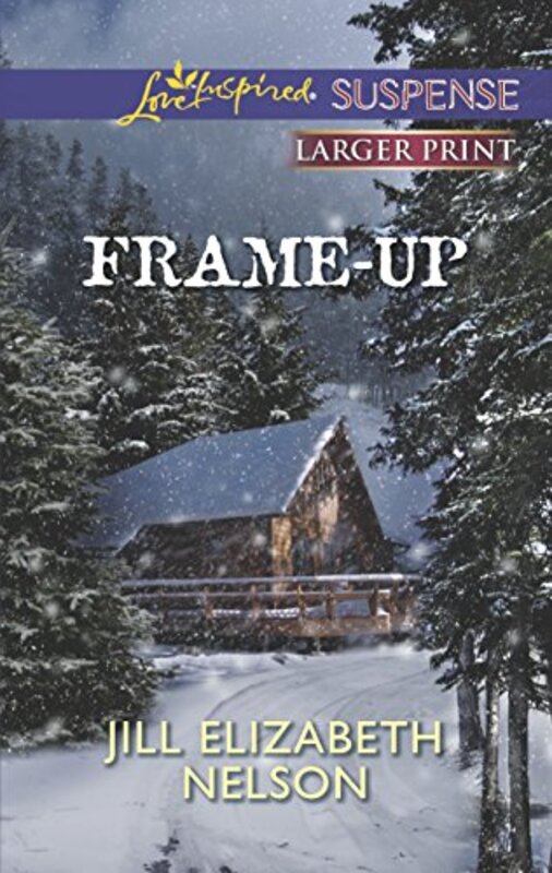 Book cover for "Frame-Up" by Jill Elizabeth Nelson