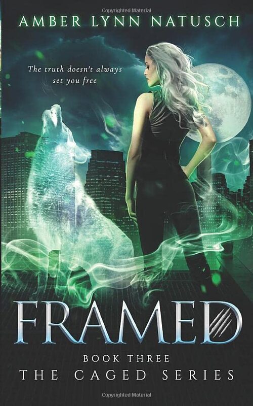 Book cover for "Framed" by Amber Lynn Natusch