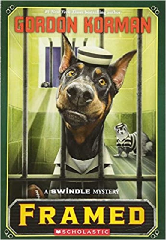 Book cover for "Framed" by Gordon Korman