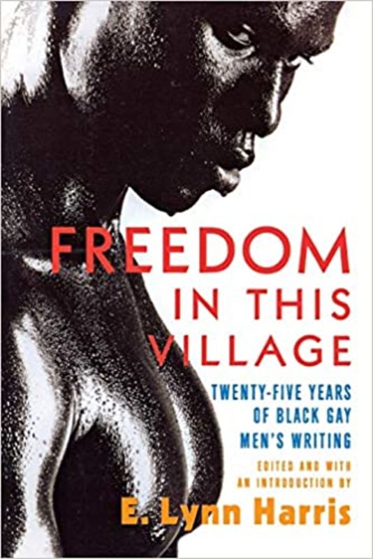 Book cover for "Freedom in this Village" by E. Lynn Harris