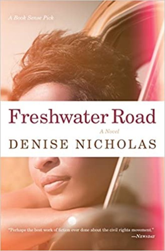 Book cover for "Freshwater Road" by Denise Nicholas