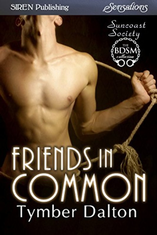 Book cover for "Friends in Common" by Tymber Dalton