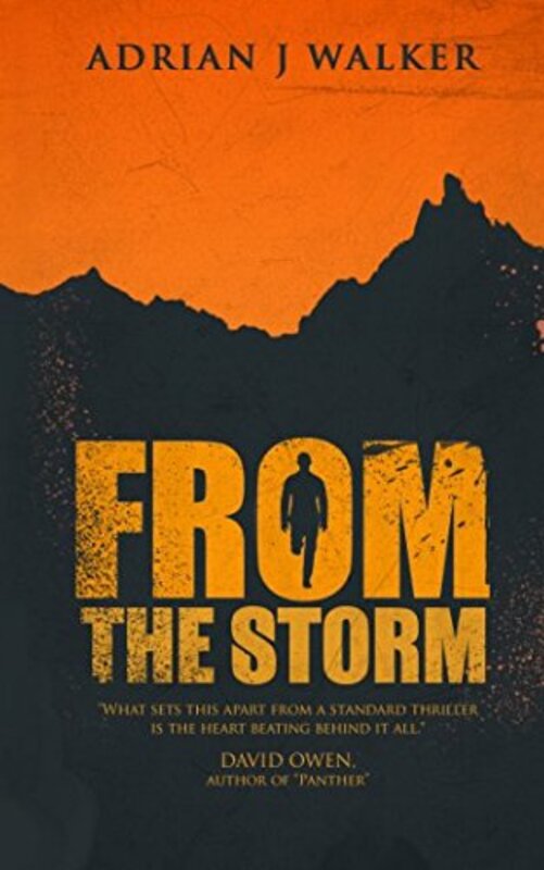 Book cover for "From the Storm" by Adrian J Walker