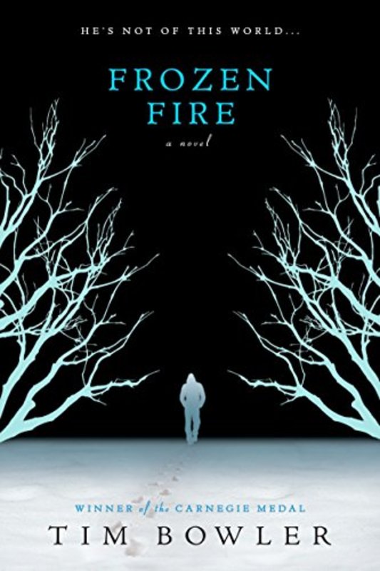 Book cover for "Frozen Fire" by Tim Bowler