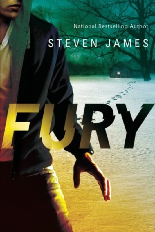 Book cover for "Fury" by Steven James