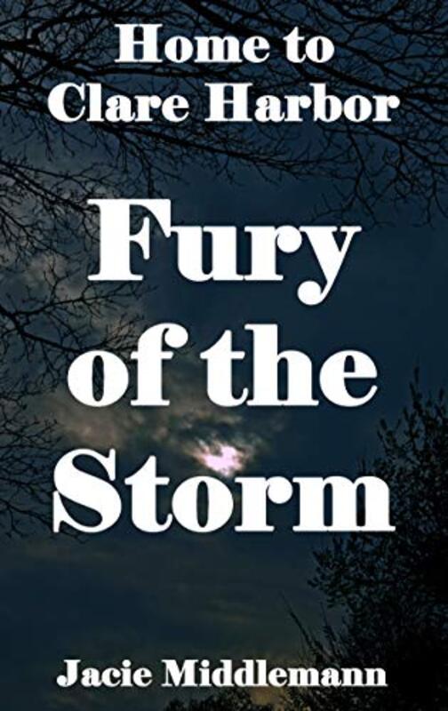 Book cover for "Fury of the Storm" by Jacie Middlemann