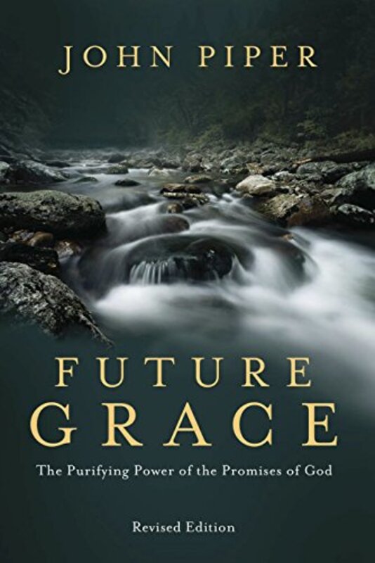 Book cover for "Future Grace"
