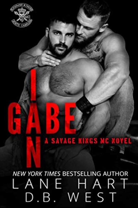 Book cover for "Gabe and Ian" by Lane Hart