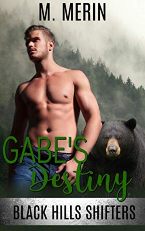 Book cover for "Gabe's Destiny" by M Merin