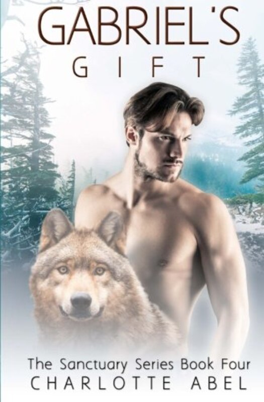 Charlotte Abel book cover