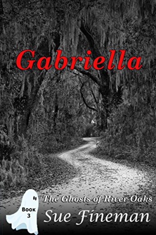 Book cover for "Gabriella" by Sue Fineman