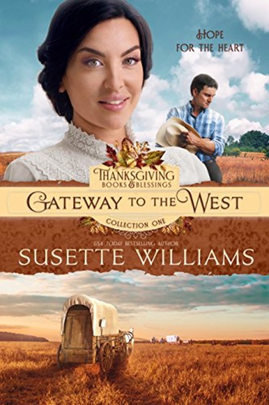 Susette Williams book cover