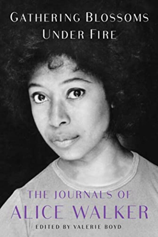 Alice Walker book cover