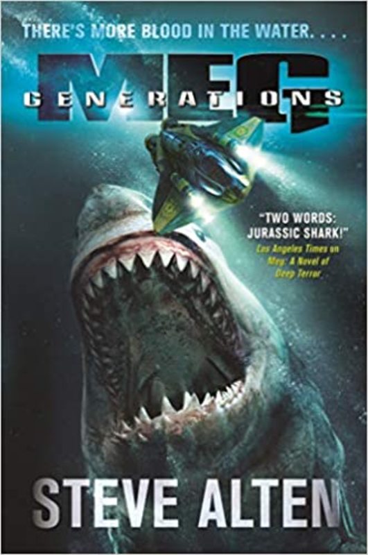 MEG book cover
