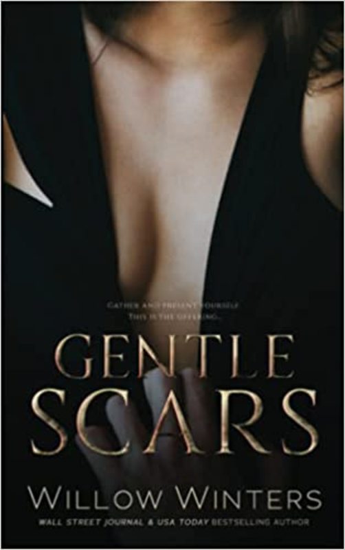 Book cover for "Gentle Scars" by Willow Winters
