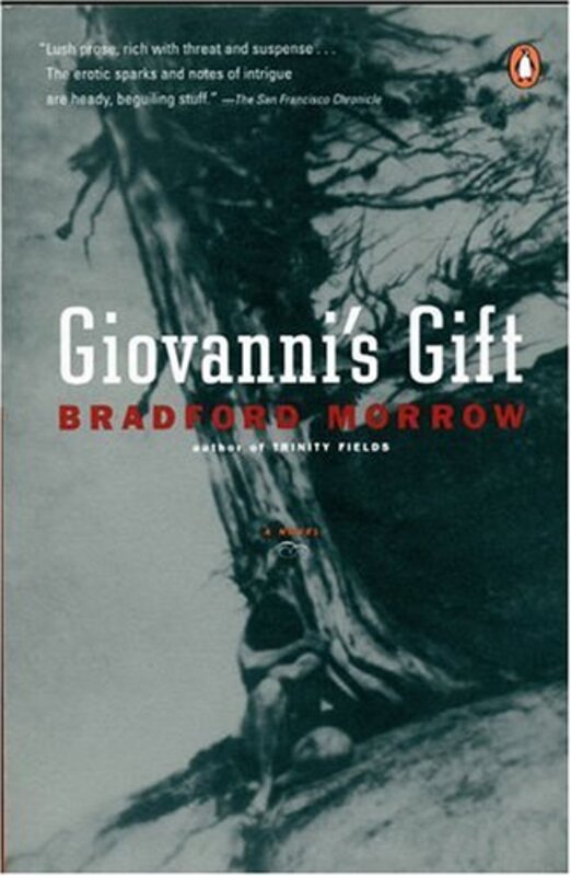 Book cover for "Giovanni's Gift" by Bradford Morrow