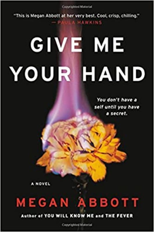Megan Abbott book cover