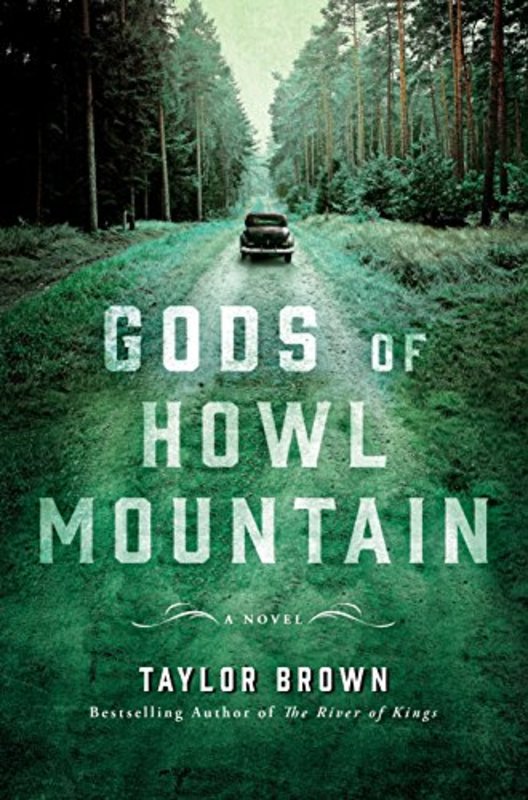 Taylor Brown book cover