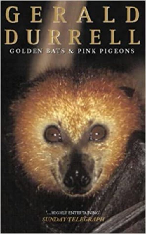 Book cover for "Golden Bats & Pink Pigeons" by Gerald Durrell