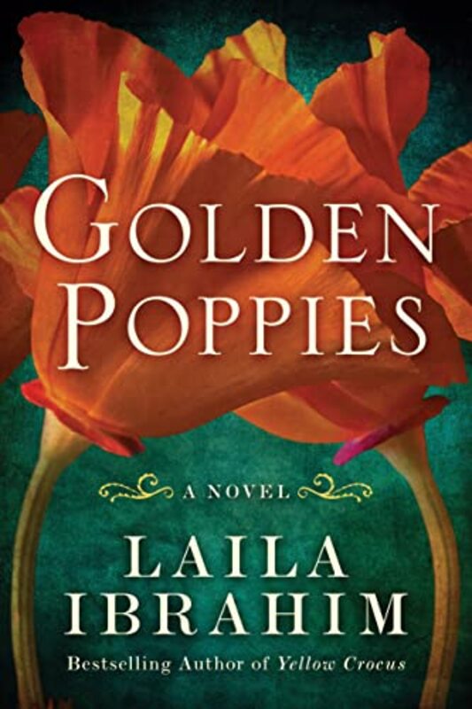Laila Ibrahim book cover