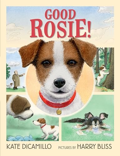 Book cover for "Good Rosie!" by Kate DiCamillo