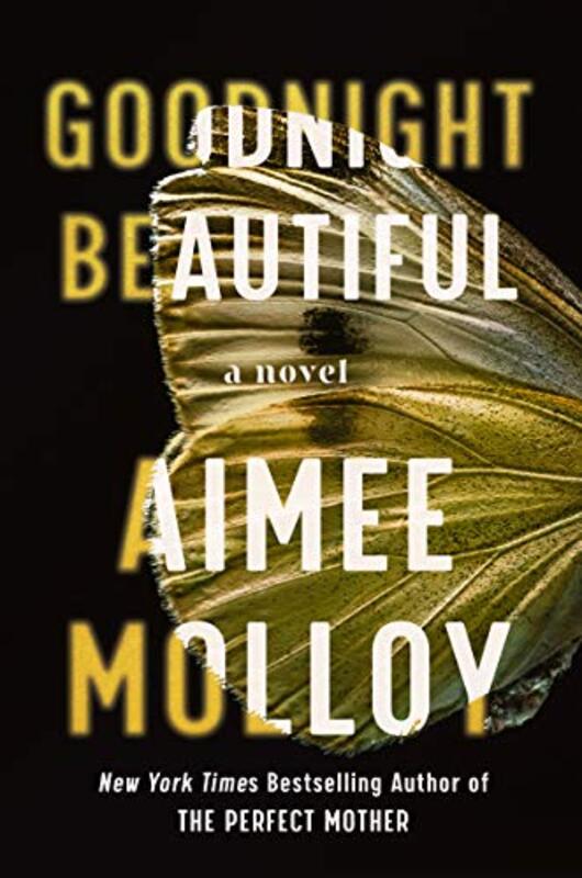 Aimee Molloy book cover
