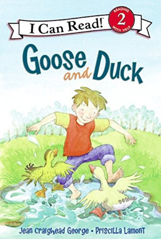 Book cover for "Goose and Duck" by Jean Craighead George
