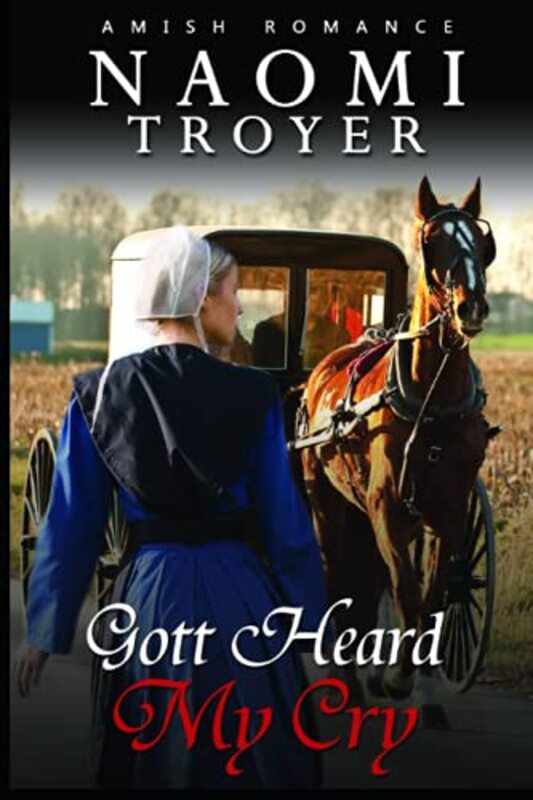 Naomi Troyer book cover