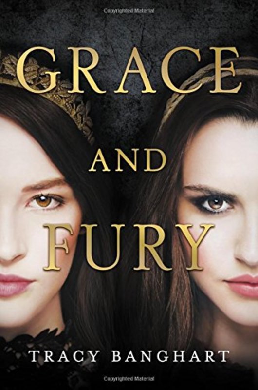 Tracy Banghart book cover