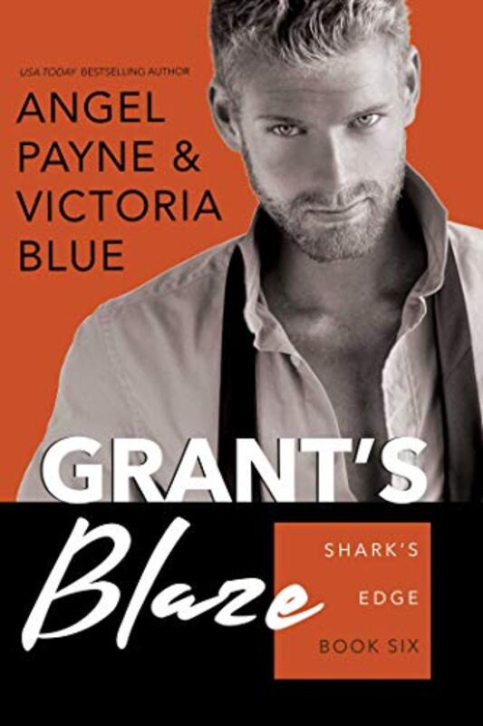 Angel Payne book cover
