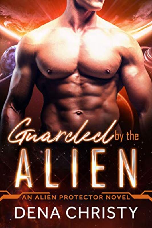 Dena Christy book cover