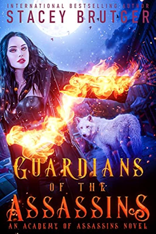 Stacey Brutger book cover