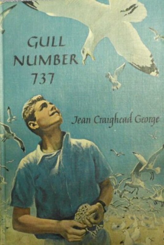 Book cover for "Gull Number 737" by Jean Craighead George