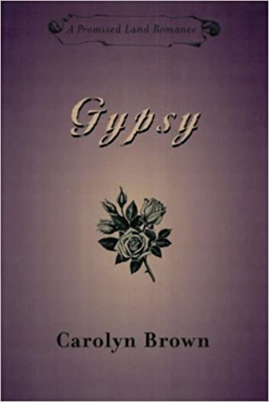 Promised Land book cover