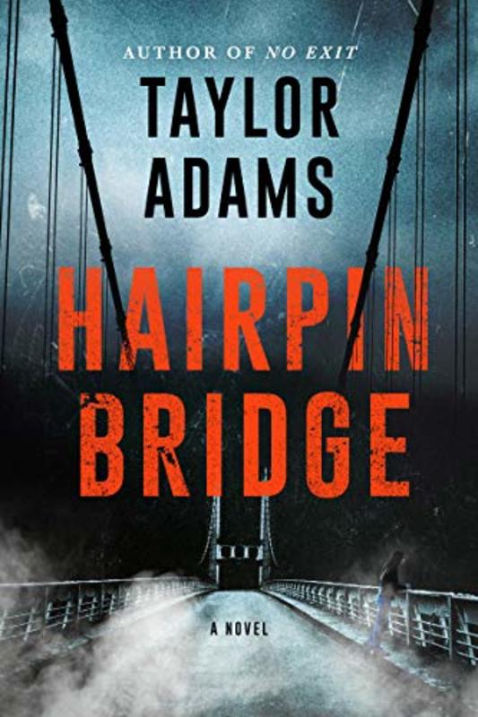 Taylor Adams book cover
