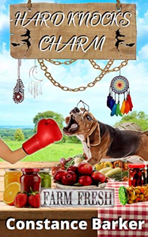 Book cover for "Hard Knocks Charm" by Constance Barker