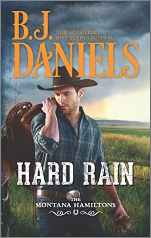The Montana Hamiltons book cover