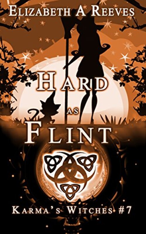 Book cover for "Hard as Flint" by Elizabeth A Reeves