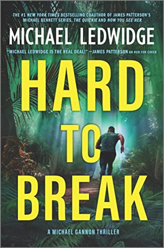 Michael Ledwidge book cover
