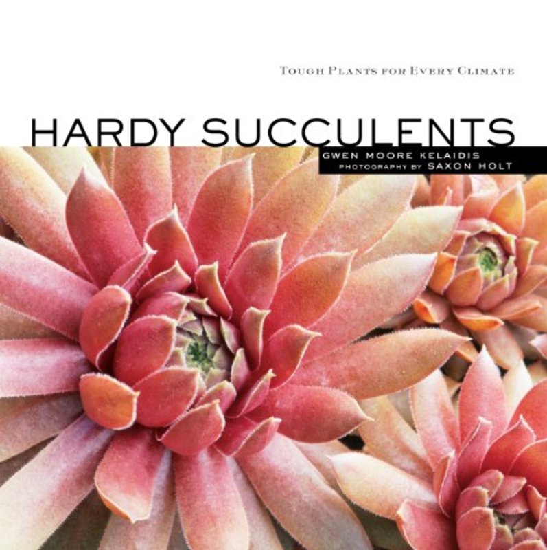 Book cover for "Hardy Succulents" by Gwen Moore Kelaidis