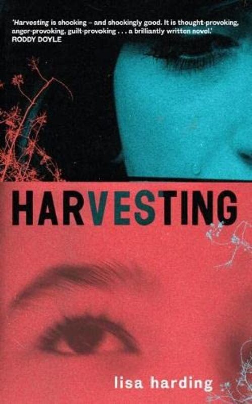 Lisa Harding book cover