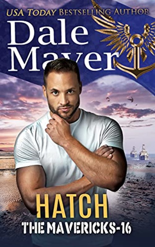 The Mavericks book cover