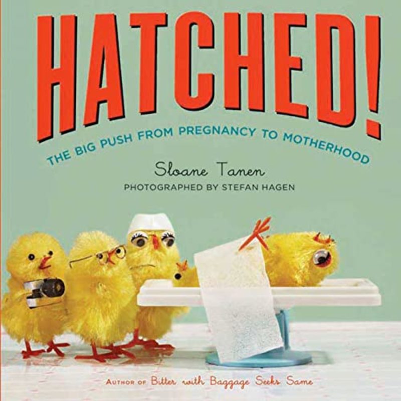 Book cover for "Hatched!" by Sloane Tanen