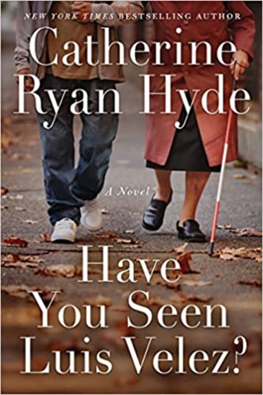 Book cover for "Have You Seen Luis Velez?" by Catherine Ryan Hyde