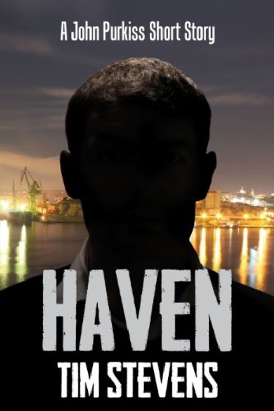 Book cover for "Haven" by Tim Stevens