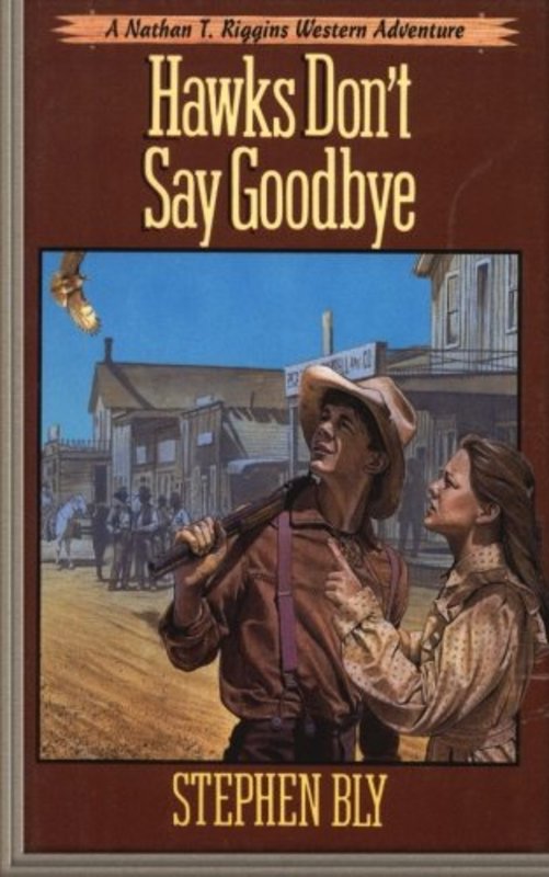Book cover for "Hawks Don't Say Goodbye" by Stephen Bly